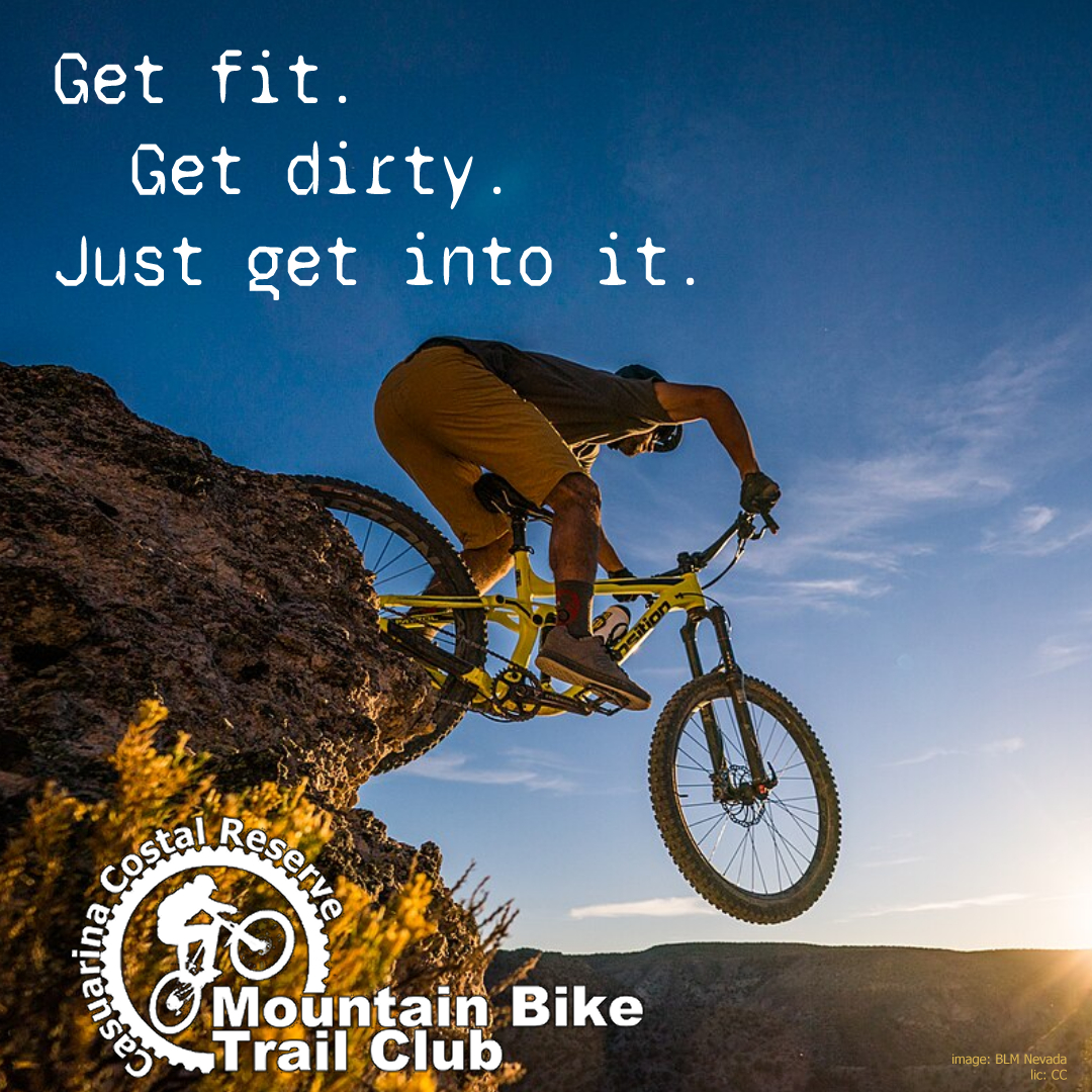 Image of Advertisement